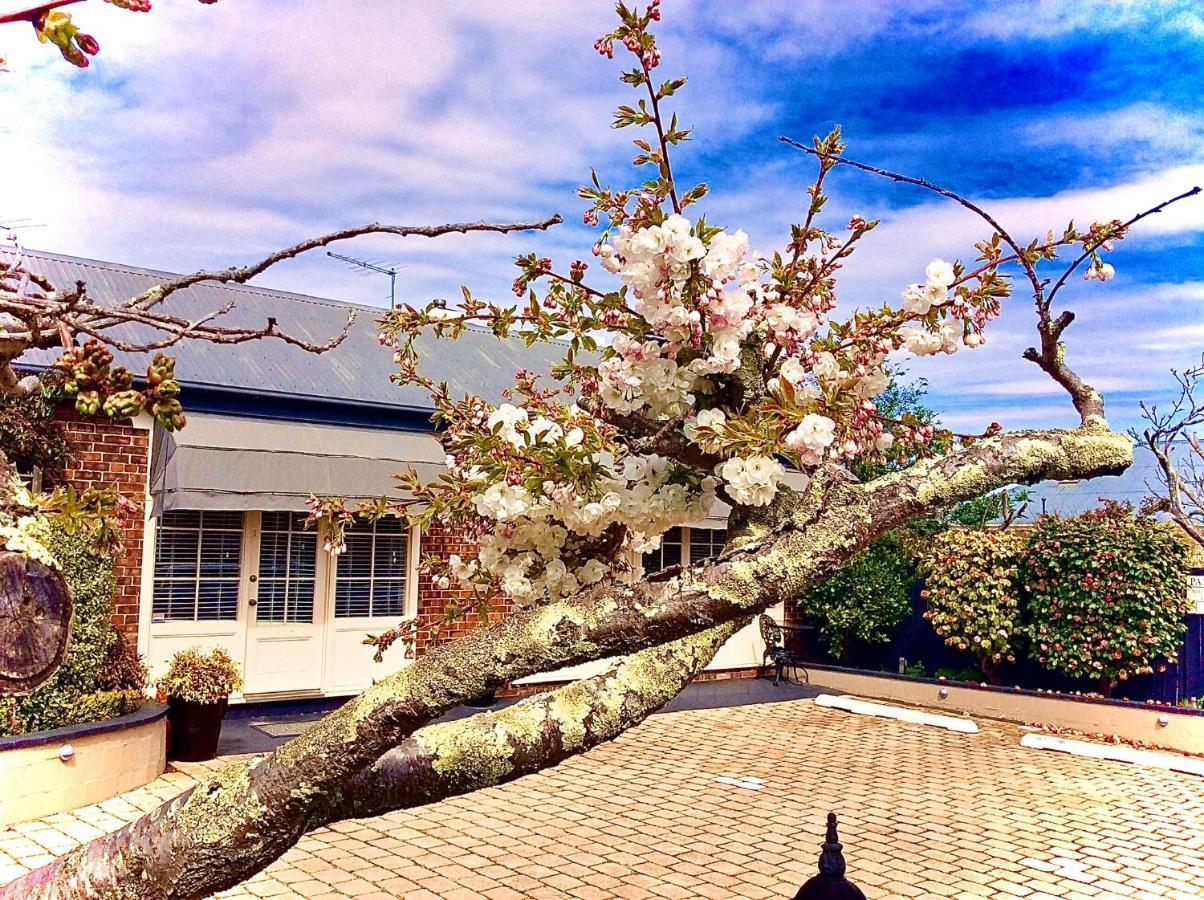 Kurrajong House Bed & Breakfast Launceston Exterior foto